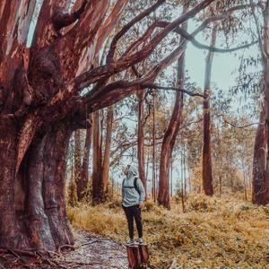 Meet your Posher, Anthony